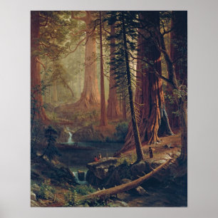Affiche Bierstadt Redwood Trees Peinture