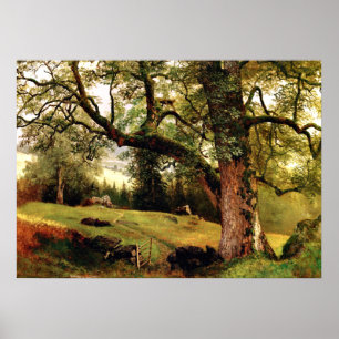 Affiche Bierstadt - Un sentier à travers les arbres