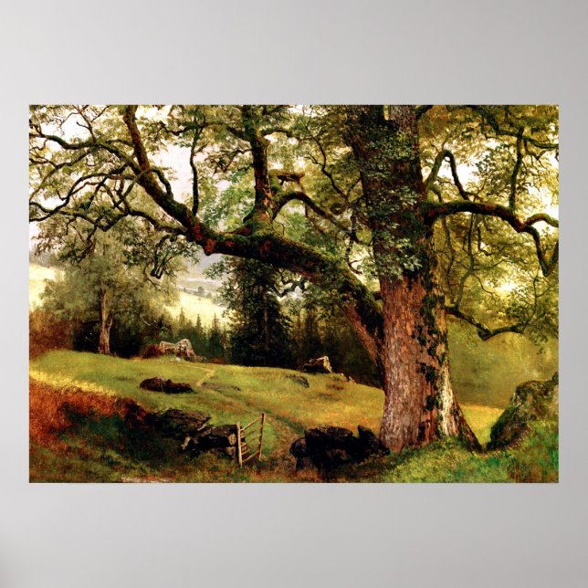 Affiche Bierstadt - Un sentier à travers les arbres (Devant)