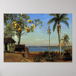 Affiche Bierstadt - Une Vue Aux Bahamas
