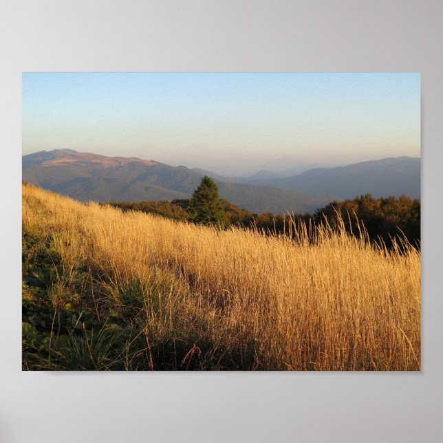 Affiche Bieszczady Połonina Caryńska (Devant)