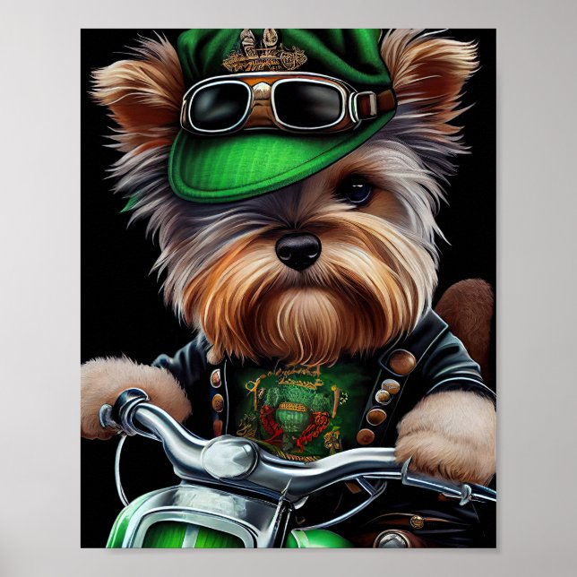 Affiche Biewer Terrier Chien Conduite Vélo St. Patrick's D (Devant)