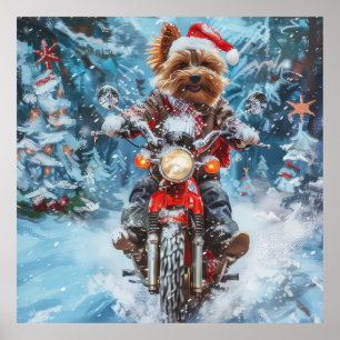Affiche Biewer Terrier Chien équitation Moto Noël
