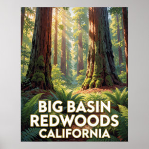 Affiche Big Basin Redwoods State Park — Californie