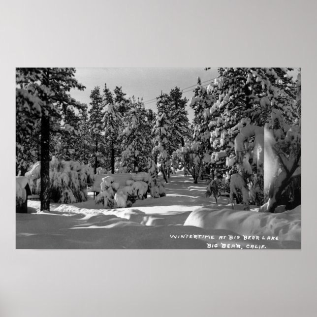 Affiche Big Bear Lake, CA in the Winter Snow View (Devant)