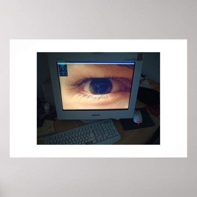 Affiche Big Brother (Devant)