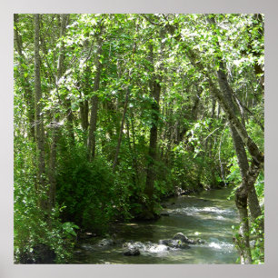 Affiche Big Creek en été......