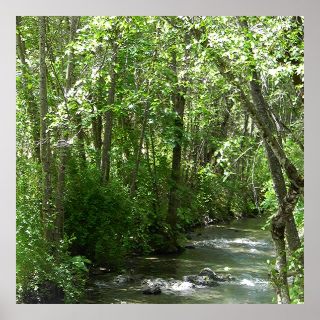 Affiche Big Creek en été...... (Devant)