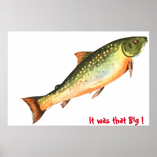 Affiche Big Fish (Devant)