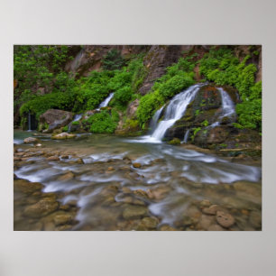 Affiche Big Springs Virgin River Parc national de Zion