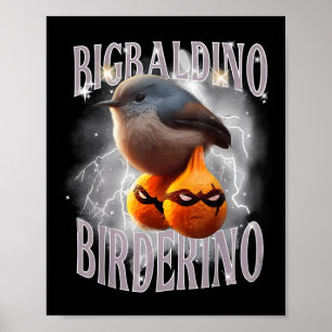 Affiche Bigbaldino Birderino Funny Italien Brainrot mème G