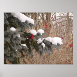 Affiche Bijou parmi les arbres