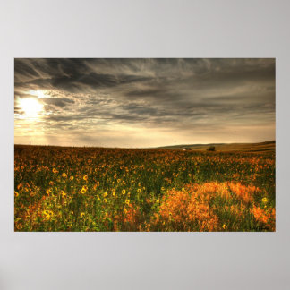 Affiche Bill's Flower Field