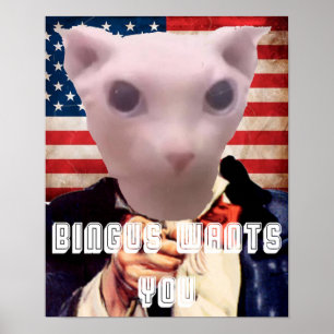AFFICHE BINGUS VOUS VEUT