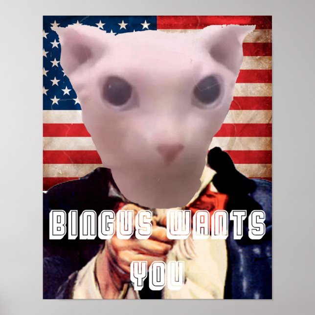 AFFICHE BINGUS VOUS VEUT (Devant)