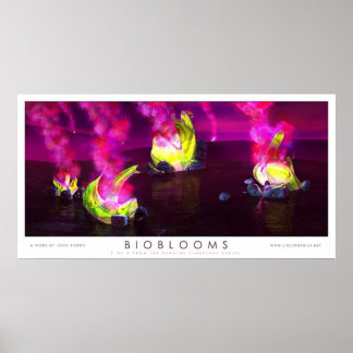 Affiche Bioblooms