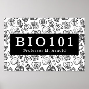 Affiche Biologie Anatomie Classe de sciences Enseignant Si