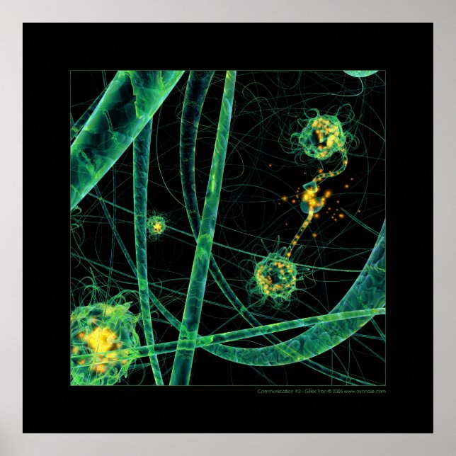 Affiche Biologie : communication #2 (Devant)