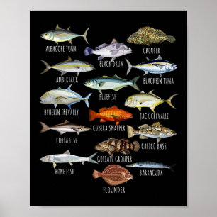 Affiche Biologie des espèces de poissons Types de poissons