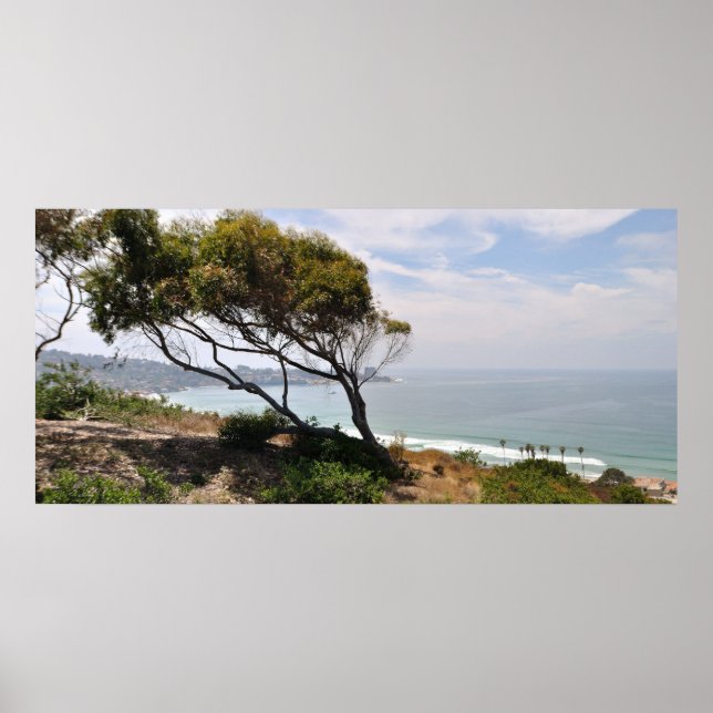 Affiche Birch Aquarium Panorama (Devant)