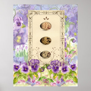 Affiche Bird Eggs Watercolor Flower Pansies Collage Art