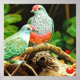Affiche Bird green