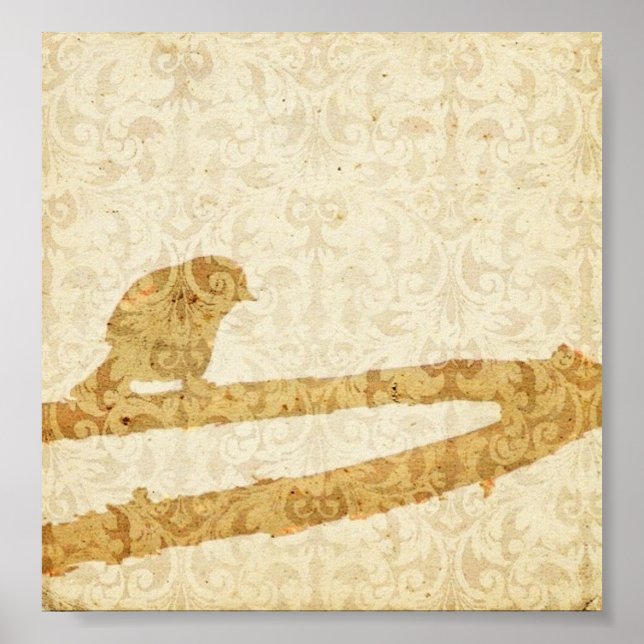 Affiche Bird in a Branch (Devant)