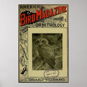 Affiche Bird Magazine 8 juin 1903