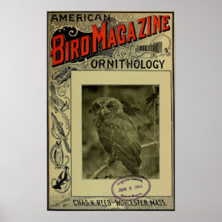 Affiche Bird Magazine 8 juin 1903
