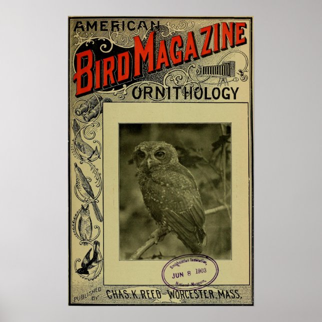 Affiche Bird Magazine 8 juin 1903 (Devant)