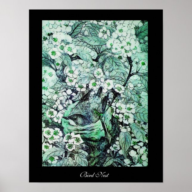 Affiche BIRD NEST ,white green black (Devant)