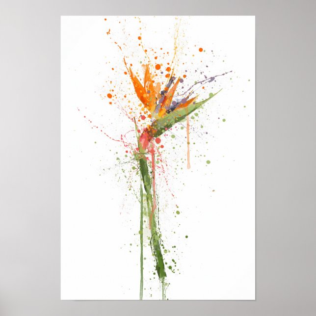 Affiche Bird of Paradise (Devant)