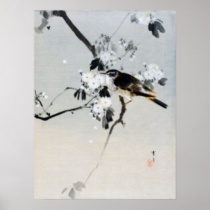 Affiche Bird on a Cherry Blossom Branch, Watanabe Seitei