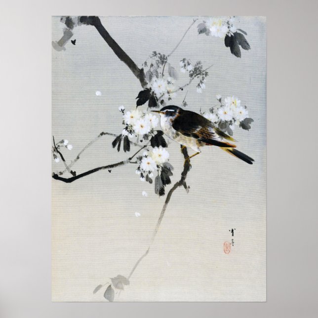 Affiche Bird on a Cherry Blossom Branch, Watanabe Seitei (Devant)