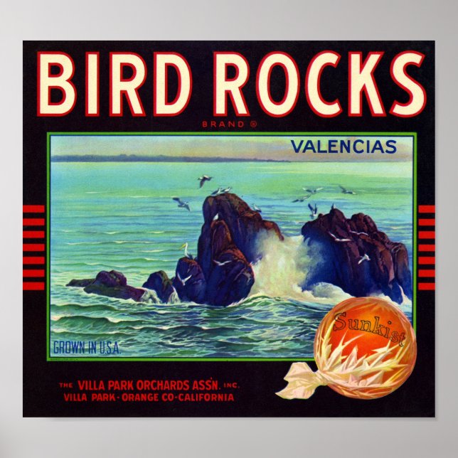 Affiche Bird Rocks Marque Orange Fruit Crate Étiquette (Devant)