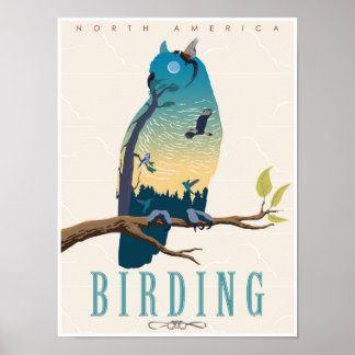 Affiche Birding en Amérique du Nord