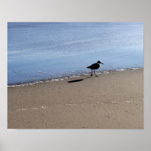 Affiche Biseau de mer sur la plage