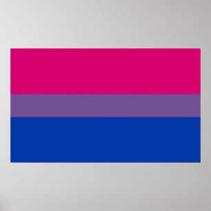 Affiche Bisexual pride