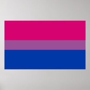Affiche Bisexual pride