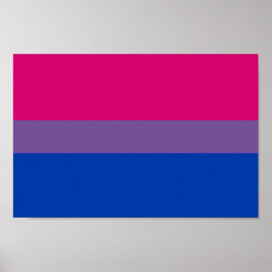 Affiche Bisexual pride