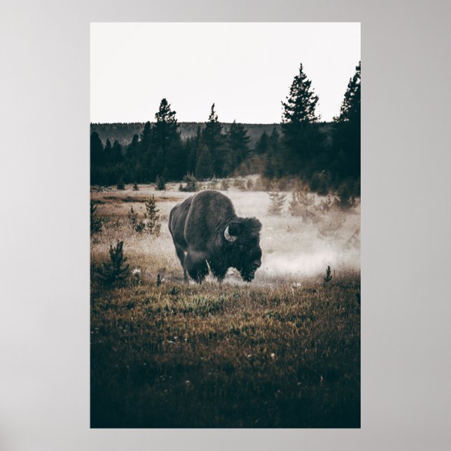 Affiche BISON Brown SUR LE CHAMP GRASS BROWN EN JOURNÉE (Devant)