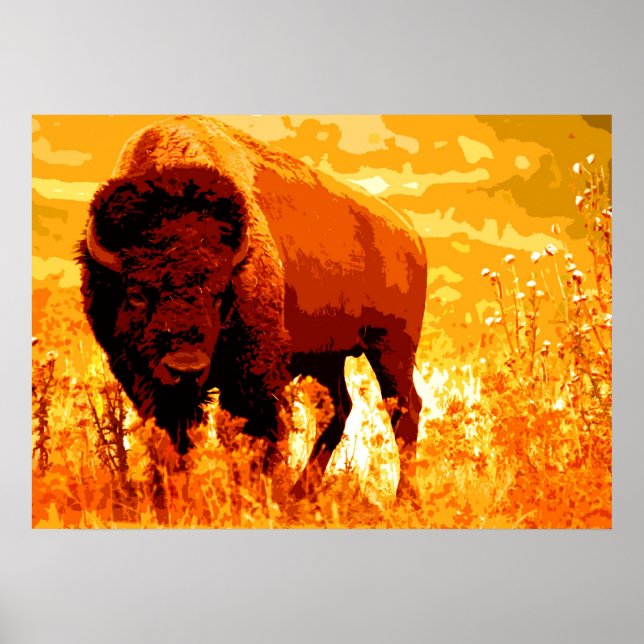 Affiche Bison Buffalo Artwork (Devant)