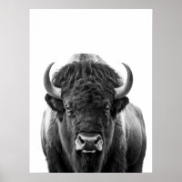Bison Buffalo moderne Portrait noir blanc