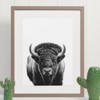 Bison Buffalo moderne Portrait noir blanc