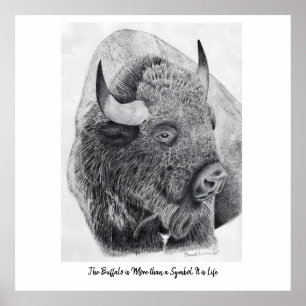 Affiche Bison d'Amérique