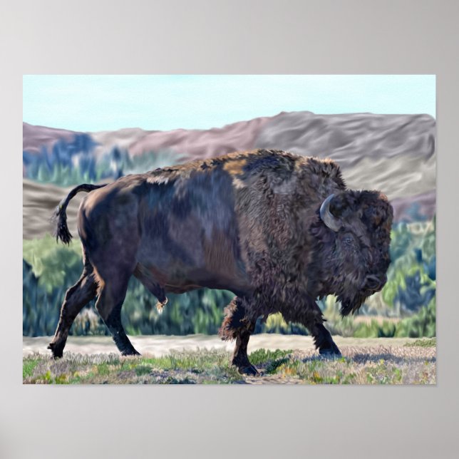 Affiche Bison de Buffalo américain (Devant)
