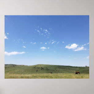 Affiche Bison Herd, Parc d'état de Custer, Dakota du Sud