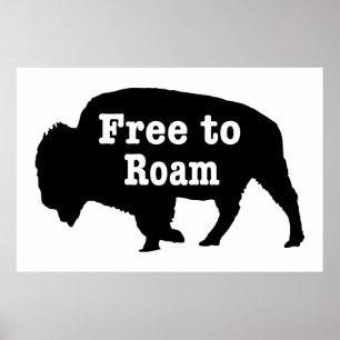 Affiche Bison libre de Roam