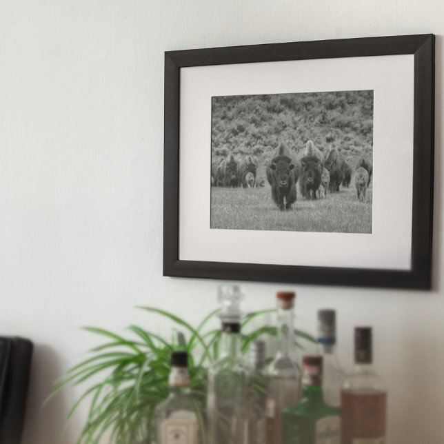 Affiche Bison noir blanc Cabine Agritourisme Style moderne (Créateur téléchargé)