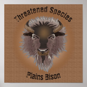 Affiche Bison rustique des plaines de l'Ouest